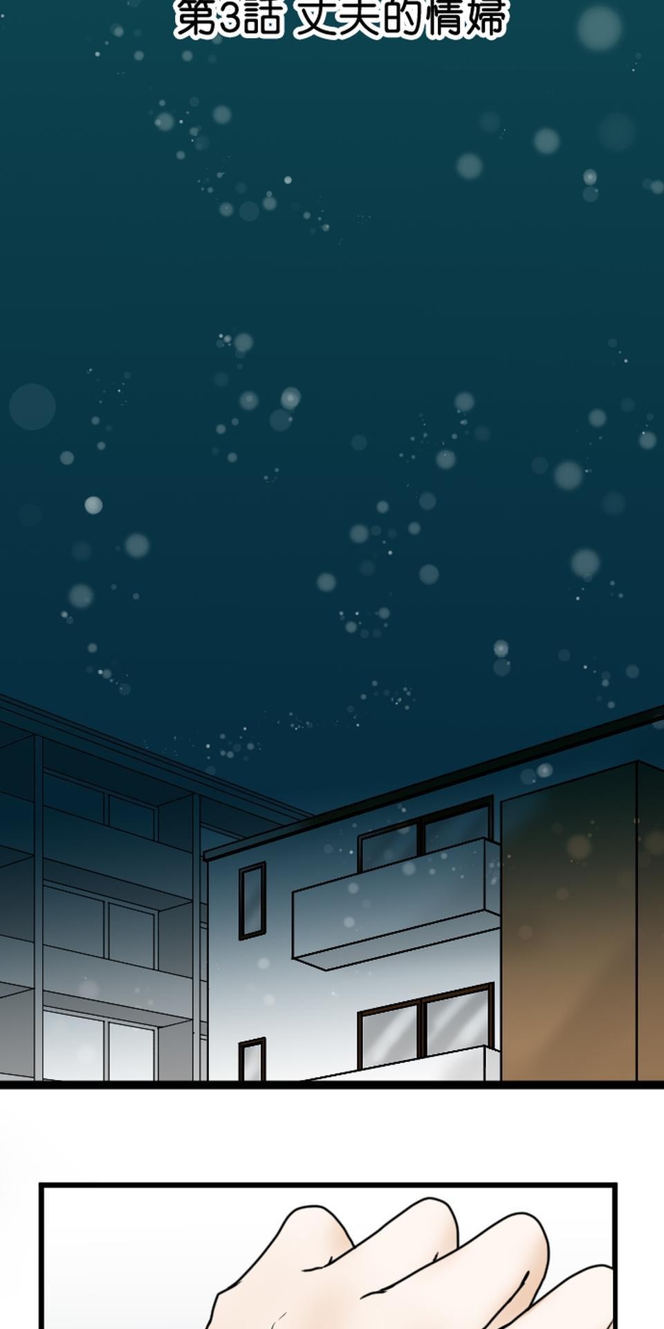 制裁背叛的鐵鎚 第3話 丈夫的情婦 第5页