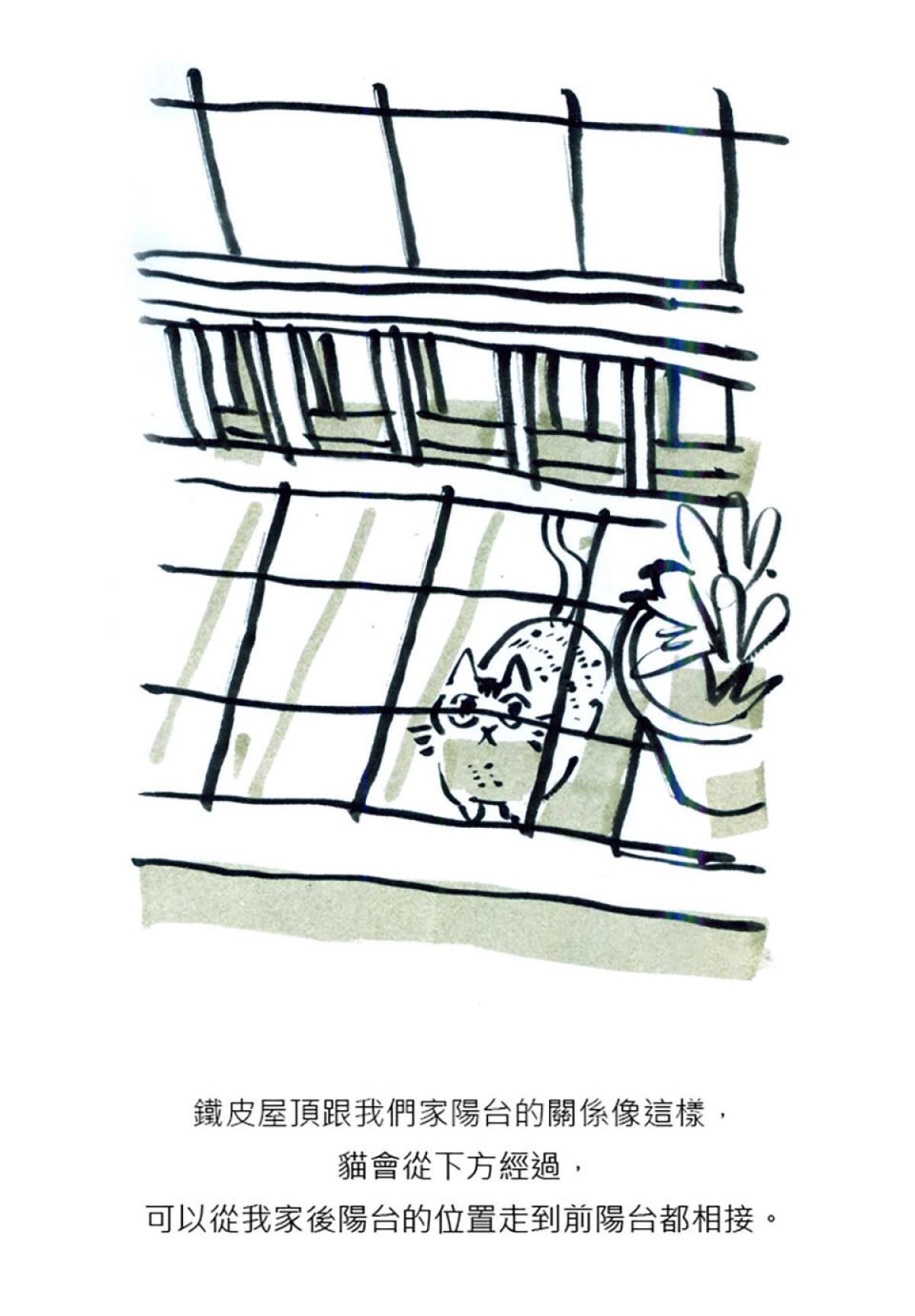 後陽台的訪客 第3页