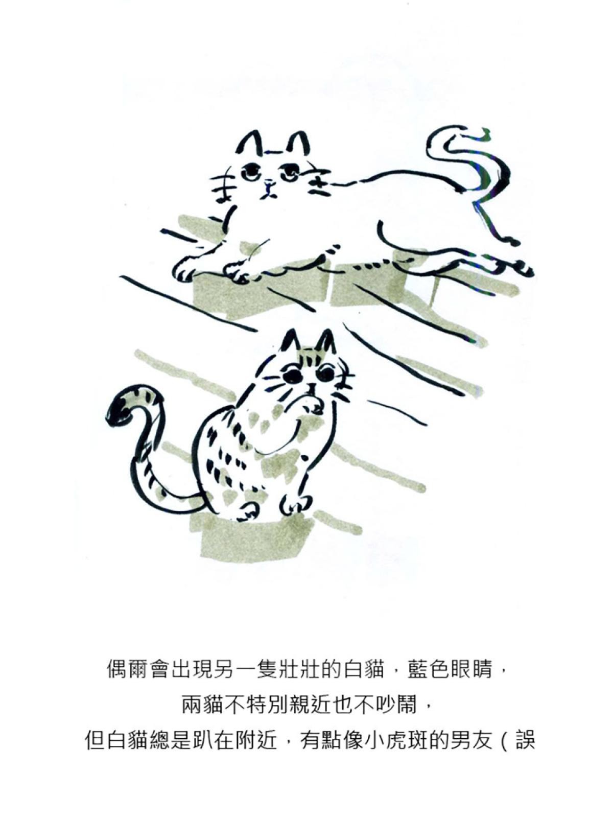 後陽台的訪客 第6页